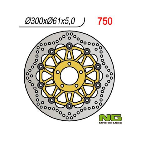 NG stabdžių diskas priekis KAWASAKI ZX6R '95-'02, Z750 '04- (300x61x5)