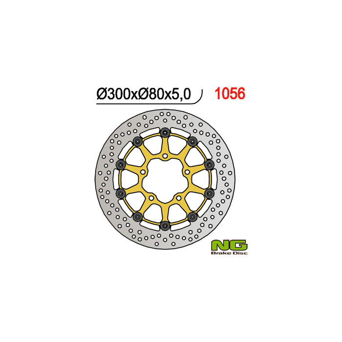 NG brake disc front KAWASAKI ER6 F / N, ZX 10R 04-15, ZX6R 05-18, KLE 650 VERSYS 07-15, Z 750 (300X80X5mm) (5X10,mm) white