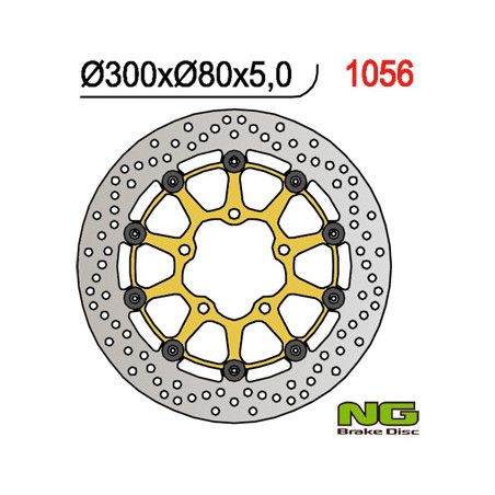 NG brake disc front KAWASAKI ER6 F / N, ZX 10R 04-15, ZX6R 05-18, KLE 650 VERSYS 07-15, Z 750 (300X80X5mm) (5X10,mm) white