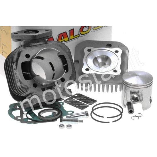 Malossi Sport 70cc Minarelli Vertical