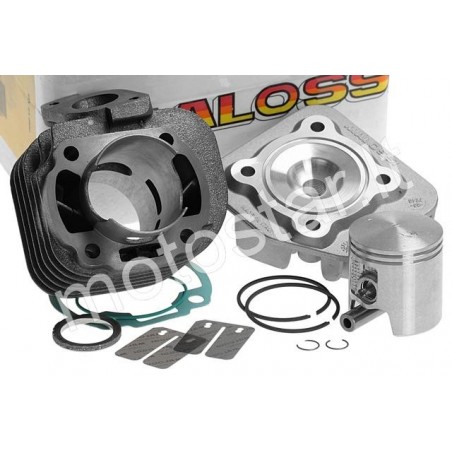 Malossi Sport 70cc Minarelli Horizontal AC