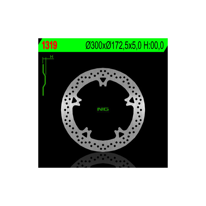 NG brake disc front HARLEY-DAVIDSON V-ROAD '06-'13, NIGHT ROAD '07-'13 (300X172,5X5) (5X12,5mm)