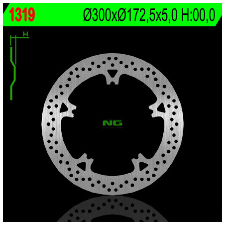 NG brake disc front HARLEY-DAVIDSON V-ROAD '06-'13, NIGHT ROAD '07-'13 (300X172,5X5) (5X12,5mm)