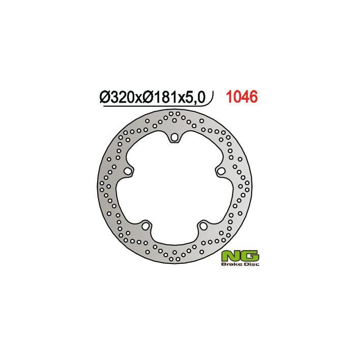NG brake disc front BMW F 800 / R850,1100,1150 / K 1200 / 1300 / 1600 (320X181X4.8) (5X14.0mm)