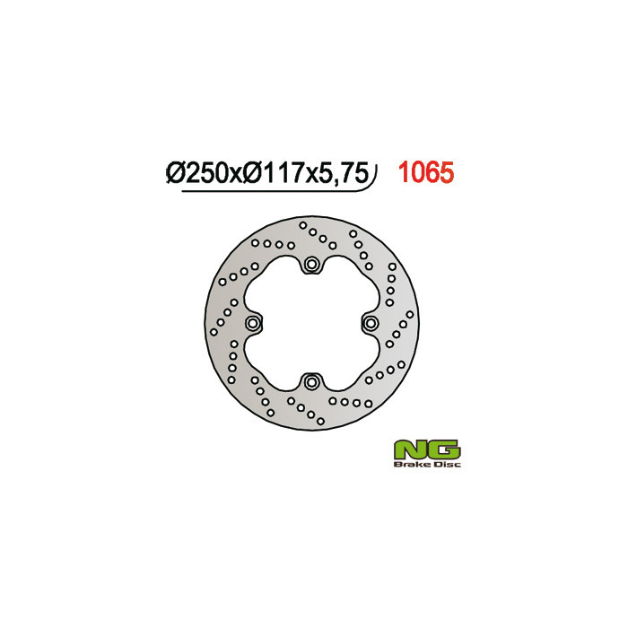 NG brake disc rear SUZUKI AN 650 BURGMAN '02-'03 (250X117X5,7) (4X10,5mm)