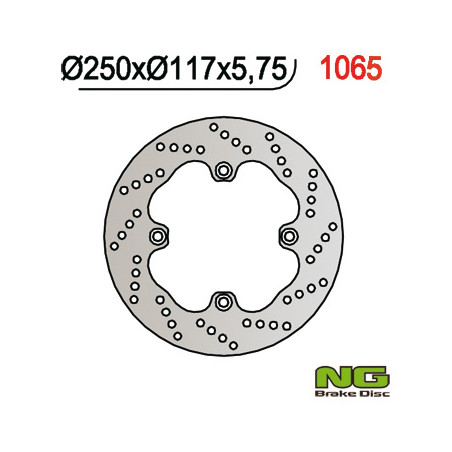 NG stabdžių diskas galas SUZUKI AN 650 BURGMAN '02-'03 (250X117X5,7) (4X10,5mm)
