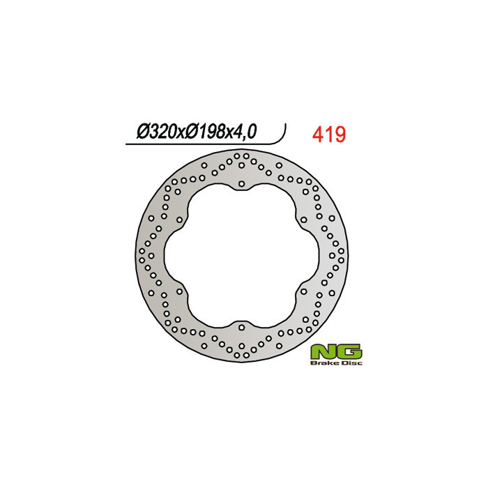 NG brake disc front YAMAHA XJ 900 DIVERSION 95-03 (320x198x4) (6x8,5mm)