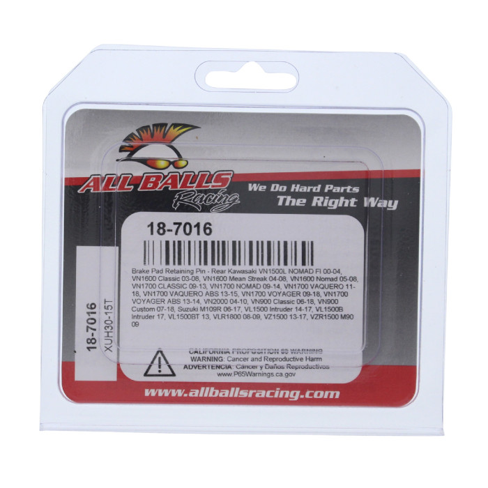 ALL BALLS brake pad locking bolts rear KAWASAKI VN 900 / 1500 / 1600 / 1700, SUZUKI VL 1500, VLR 1800, VZR 1500