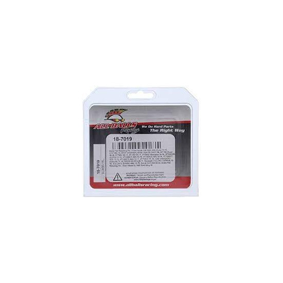 ALL BALLS brake pad locking bolts front HONDA CBF1000, ST1300, XL700 / 1000V, VFR800, NT700V, SUZUKI VLR1800, rear