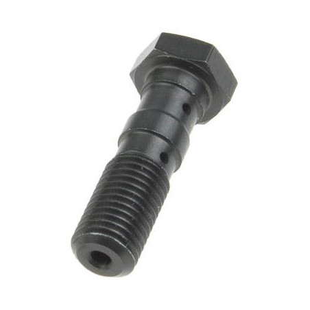 TRW LUCAS brake hose bolt M10X1.25 double color titanium