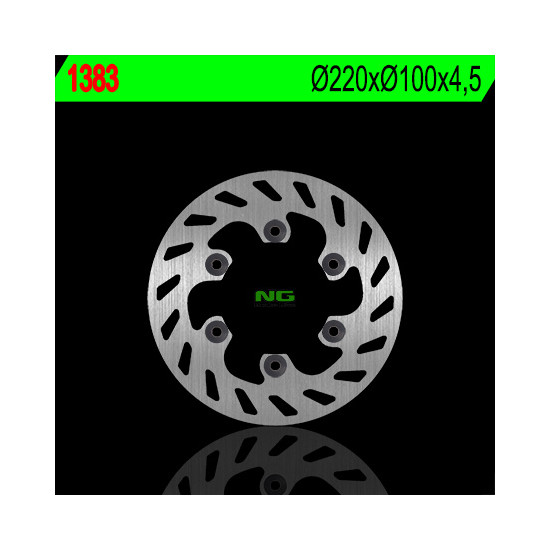 NG brake disc rear KAWASAKI KLX 300 R '97-'07 (220X100X4,5) (6X10,5mm)