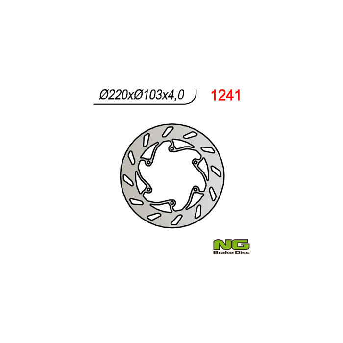 NG brake disc rear BMW G 450 X '08-'09 (220X103X4)