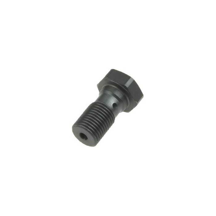 TRW LUCAS brake hose bolt M10X1.00 BREMBO color titanium