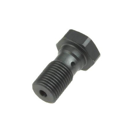 TRW LUCAS brake hose bolt M10X1.00 BREMBO color titanium