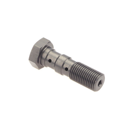 TRW LUCAS brake hose bolt M10X1.00 double color titanium