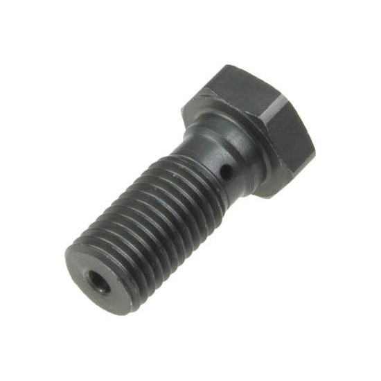 TRW LUCAS brake hose bolt M10X1.25 color titanium