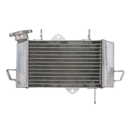 YZF 125 2008 to 2011 cooling radiator