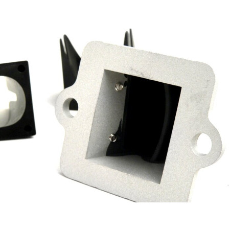 BGM PRO Evolution reed valves with housing Piaggio / Gilera 50-180