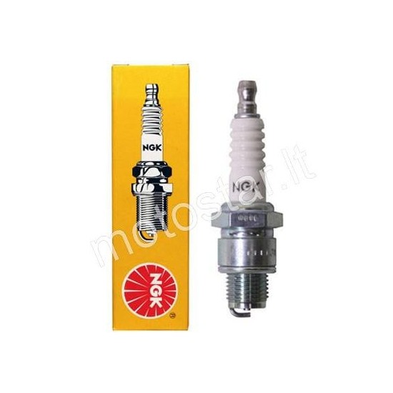 NGK B HS spark plugs (short thread)
