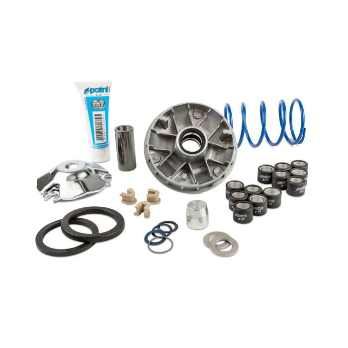 Piaggio/Gilera is 50 Polini The vehicle shall be equipped with: