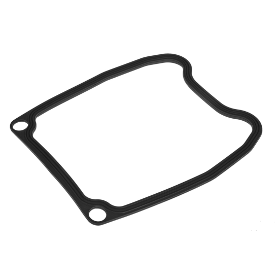 Valve cover gasket APRILIA GILERA PIAGGIO (830820)