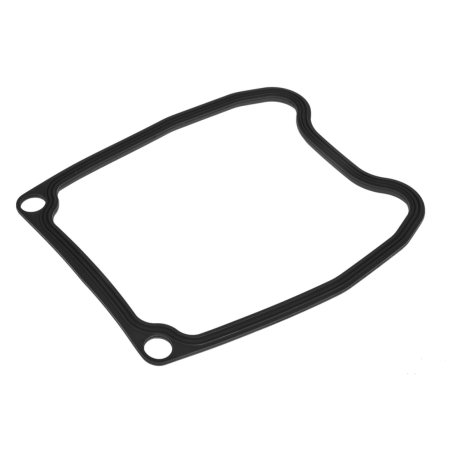 Valve cover gasket APRILIA GILERA PIAGGIO (830820)
