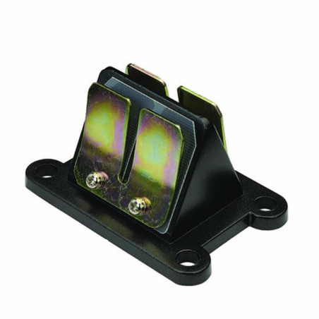 Minarelli AM6 sheet valves with housing