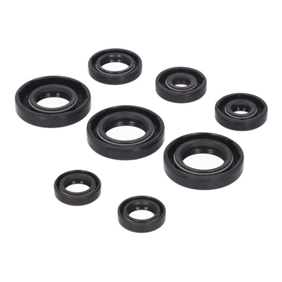 Derbi EBE, EBS engine oil seal kit Naraku