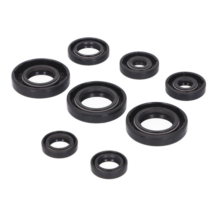 Derbi EBE, EBS engine oil seal kit Naraku