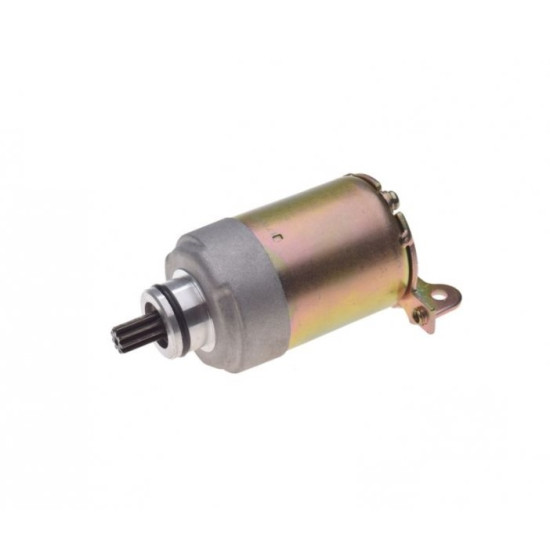 The electric starter