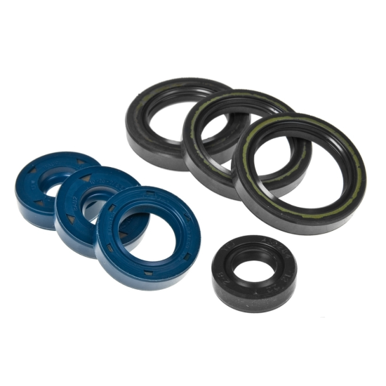 Aprilia 125 (Rotax 122) engine oil seal kit