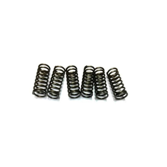EBS clutch springs KAWASAKI...