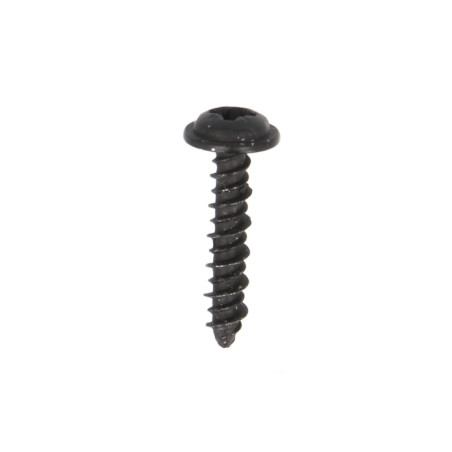Screws for fixing plastics, 4x20 (10 pcs.)