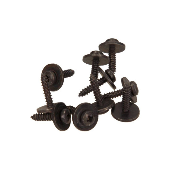 Screws for fixing plastics, 4.2x17 (10 pcs.)