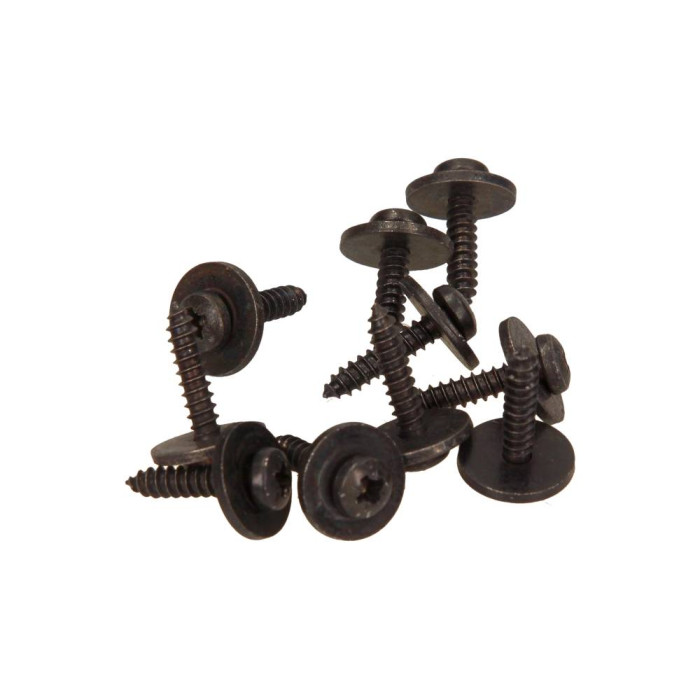 Screws for fixing plastics, 4.2x17 (10 pcs.)