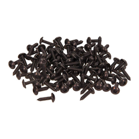 Screws for fixing plastics, 4.1x16 (100 pcs.)