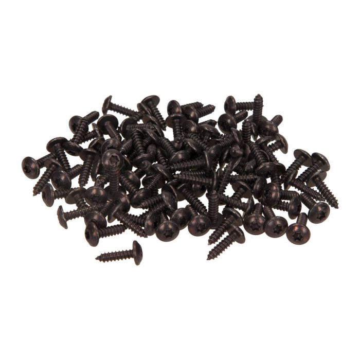 Screws for fixing plastics, 4.1x16 (100 pcs.)