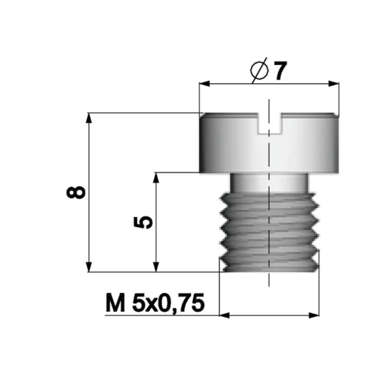 5mm jet Polini (87)