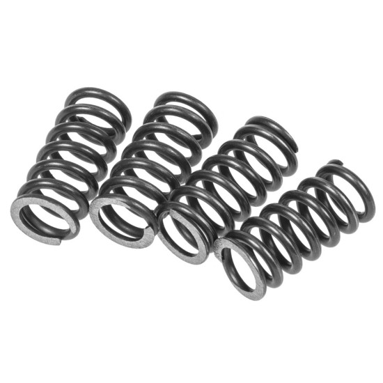 Malossi Racing clutch springs Minarelli AM6