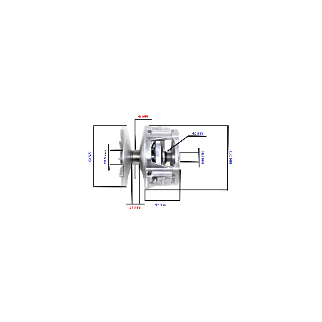 Variatorius Polaris 500-800 (OEM 1322743