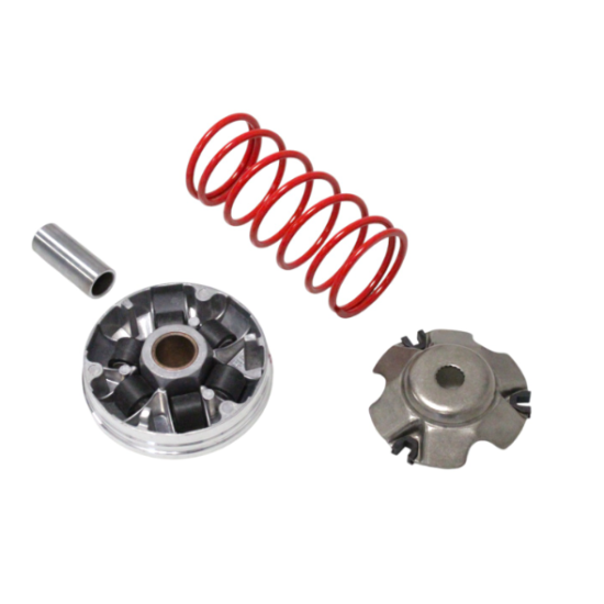 Piaggio / Gilera 50 POWER FORCE variator