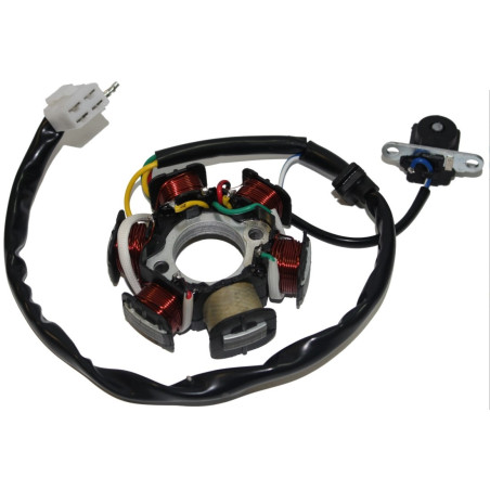ATV 110 ignition windings (6 coils)
