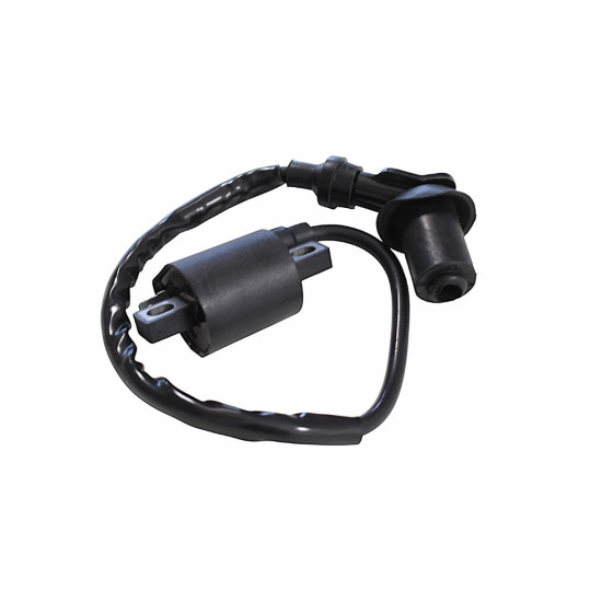 ATV BASHAN ignition coil (reel)