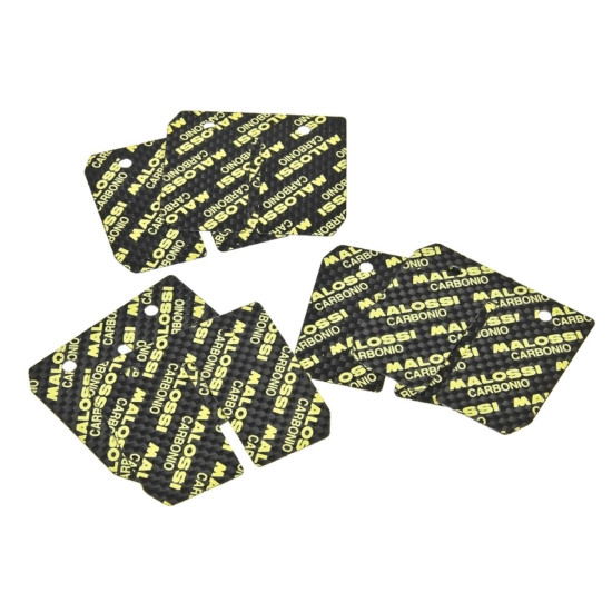 Malossi VL6 Carbon, 0.30 / 0.35 / 0.40, Aprilia / Derbi / Gilera / Minarelli AM6 reed valves