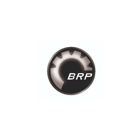 Can-Am stickers BRP 70x70 (2pcs.)