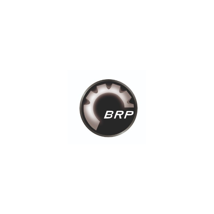 Can-Am stickers BRP 70x70 (2pcs.)