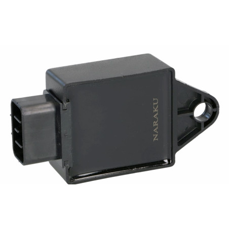 Naraku Racing CDI for Peugeot 50 2T models