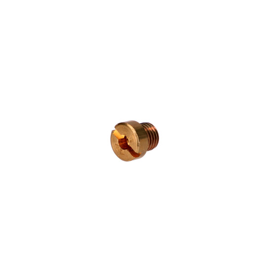 6mm Polini žikleris (148...