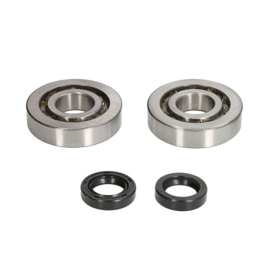 Piaggio / Gilera 50 crankshaft bearing kit with oil seals