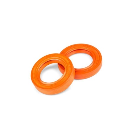 Piaggio / Gilera STAGE6 R/T oil seal kit
